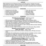 Account Manager Resume Account Manager Marketing Executive 2 account manager resume|wikiresume.com