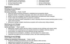 Account Manager Resume Account Manager Marketing Traditional 2 account manager resume|wikiresume.com