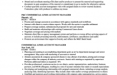 Account Manager Resume Commercial Lines Account Manager Resume Sample account manager resume|wikiresume.com