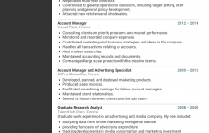 Account Manager Resume Screen Shot 2017 10 10 At 2 54 07 Pm account manager resume|wikiresume.com