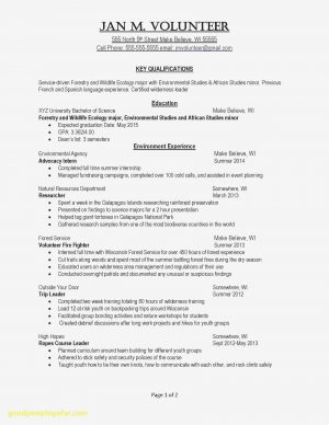 Acting Resume Template Free Theatre Resume Templates Acting Template With Photo Hairstyles