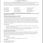 Bank Teller Resume Bank Teller Resume Skills Professional Summary For Branch bank teller resume|wikiresume.com