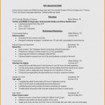 Basic Resume Examples Basic Resume Examples Exceptional Internship Resume Template Sample Sample Obituary Examples A Resume Collection basic resume examples|wikiresume.com