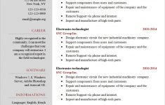 Basic Resume Examples Basic Resume Template14 basic resume examples|wikiresume.com