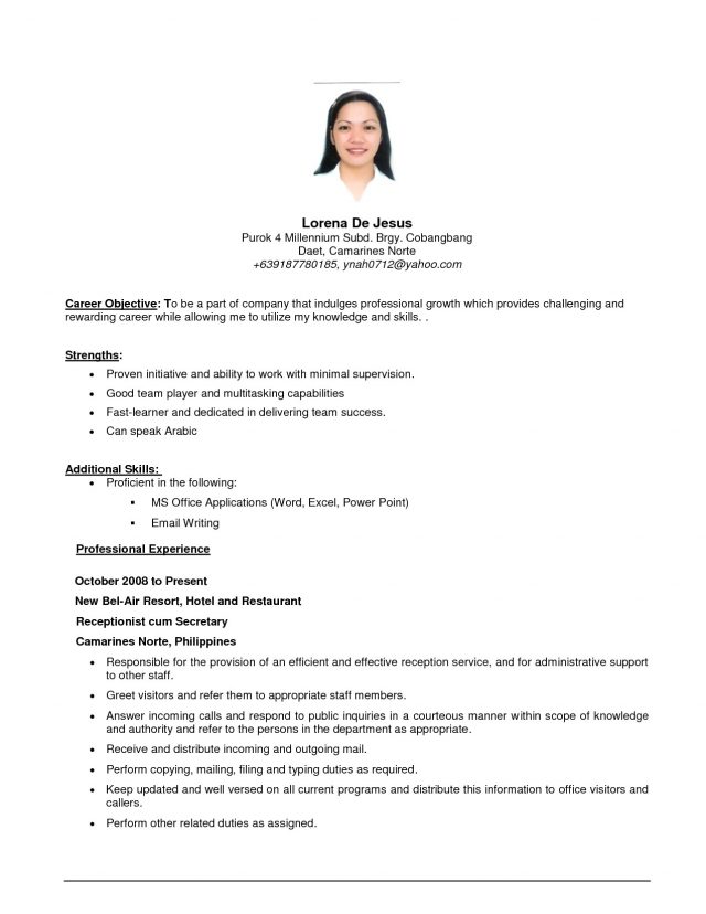 Basic Resume Examples Basic Resumes Examples Cmt Sonabel - wikiresume.com