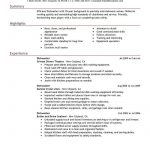 Basic Resume Examples Dishwasher Media Entertainment Emphasis 1 basic resume examples|wikiresume.com