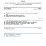 Best Resume Format Chronological Sample best resume format|wikiresume.com