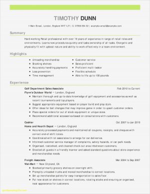 Best Resume Format Model Resume Format Best Sample Resume For Abroad Application