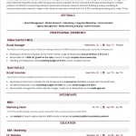 Best Resume Format Reverse Chronological Resume Format 1 best resume format|wikiresume.com