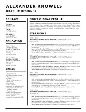 Best Resume Template 2019 Best Clean And Simple Resume Templates Top 5