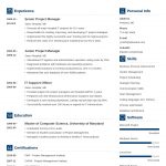 Best Resume Template 8 Examples Free Professional Resume Templates To Download Tips best resume template|wikiresume.com