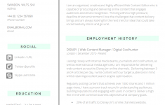 Best Resume Template Big Cv best resume template|wikiresume.com