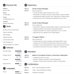 Best Resume Template Crisp 15 Classic Silver Dark 388 best resume template|wikiresume.com