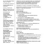 Best Resume Template Executive Traditional best resume template|wikiresume.com
