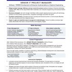 Best Resume Template It Project Manager Experienced best resume template|wikiresume.com