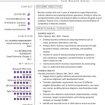 Business Analyst Resume Business Analyst Resume Example Template business analyst resume|wikiresume.com