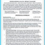 Business Analyst Resume Business Analyst Resume For Investment Banking Domain business analyst resume|wikiresume.com