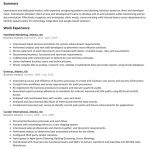Business Analyst Resume Business Analyst Resume Summary Templates Design For Job Scope Of Work Template Analysis business analyst resume|wikiresume.com