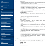 Business Analyst Resume Business Analyst Resumelab 2 business analyst resume|wikiresume.com
