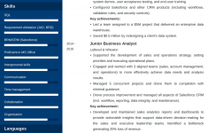 Business Analyst Resume Business Analyst Resumelab 2 business analyst resume|wikiresume.com