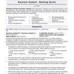 Business Analyst Resume Businessanalyst business analyst resume|wikiresume.com