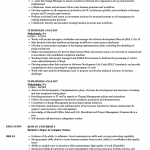 Business Analyst Resume It Business Analyst Resume Sample business analyst resume|wikiresume.com