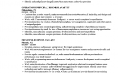 Business Analyst Resume Principal Business Analyst Resume Sample business analyst resume|wikiresume.com