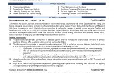 Business Analyst Resume Professional 4n 1 business analyst resume|wikiresume.com