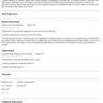 Business Analyst Resume Sample Entry Level Business Analyst Resume business analyst resume|wikiresume.com