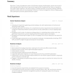 Business Analyst Resume Senior Business Analyst Cv Example Standard business analyst resume|wikiresume.com