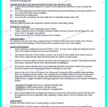 College Student Resume Template After College Resume Template college student resume template|wikiresume.com
