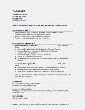 Creative Director Resume  11 Moments To Remember From Creative Resume Information