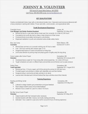 Creative Director Resume  Creative Director Cover Letter New Resume And Cover Letter Services