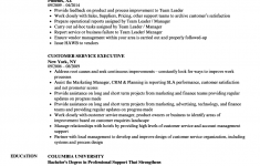 Customer Service Resume Customer Service Executive Resume Sample customer service resume|wikiresume.com