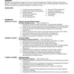 Customer Service Resume Examples Air Import Export Agent Government Military Contemporary 1 customer service resume examples|wikiresume.com