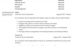 Customer Service Resume Examples Customer Service Two Year Exp customer service resume examples|wikiresume.com