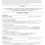 Customer Service Resume Sample Customer Service Director customer service resume sample|wikiresume.com