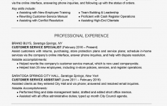 Customer Service Resume Skills 2063276v1 5bd211b1c9e77c007cca6874 customer service resume skills|wikiresume.com