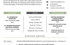Example Of A Resume Information Technology Resume Example Template example of a resume|wikiresume.com