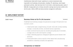 Example Of A Resume Small Business Owner Resume Example 10 example of a resume|wikiresume.com