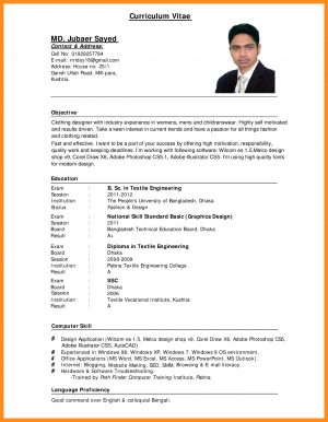 Example Of Resume 11 12 Computer Literate Resume Examples Lascazuelasphilly