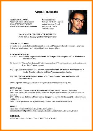 Example Of Resume Example Resume English Cv Profile Examples For Students Sample