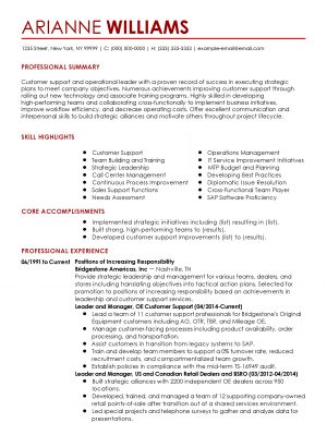 Example Of Resume Professional Customer Success Manager Templates To Showcase Your