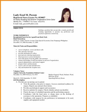 Example Of Resume Sample Resume For Job Application Pdf World Of Example And Papers