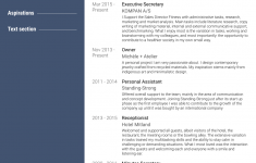 Executive Assistant Resume 1bs2i1xz9cdgwdby7tz9p executive assistant resume|wikiresume.com