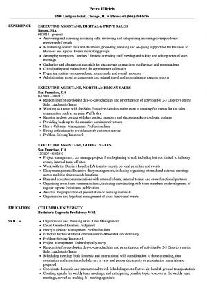 Executive Assistant Resume Sales Executive Assistant Resume Samples Velvet Jobs