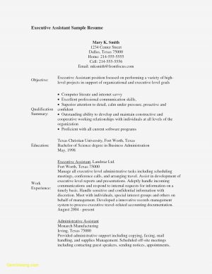 Executive Assistant Resume Sample Medical Assistant Resume Unique Executive Assistant Resume