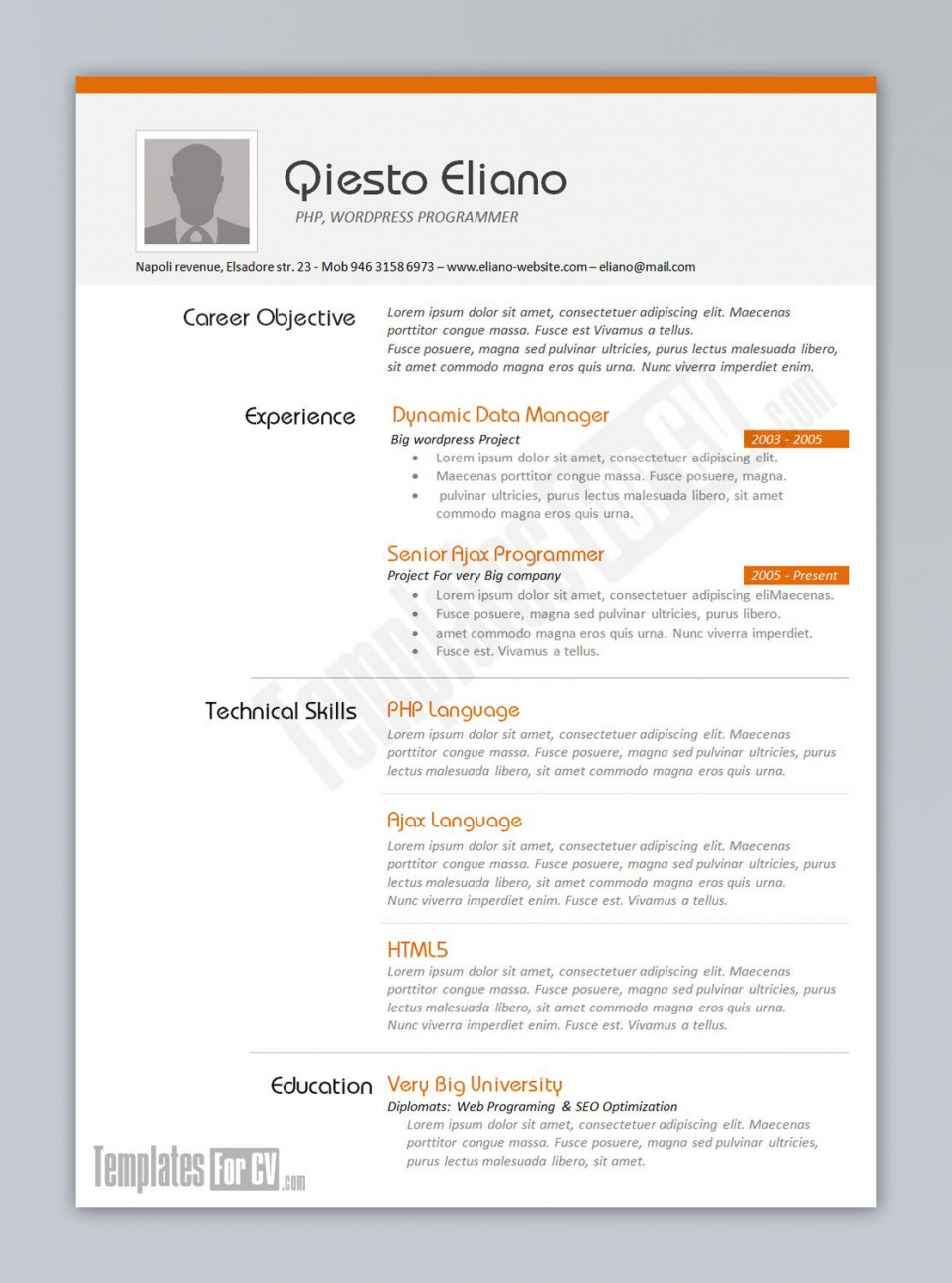 Free Downloadable Resume Templates Resume Examples Great 10 Ms Word Resume Templates Free Download 8 free downloadable resume templates|wikiresume.com
