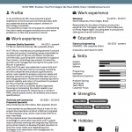 Good Resume Examples Screen Shot 2018 02 20 At 11 29 03 1 good resume examples|wikiresume.com
