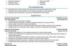 Great Resume Examples Assistant Manager Automotive Professional 2 great resume examples|wikiresume.com